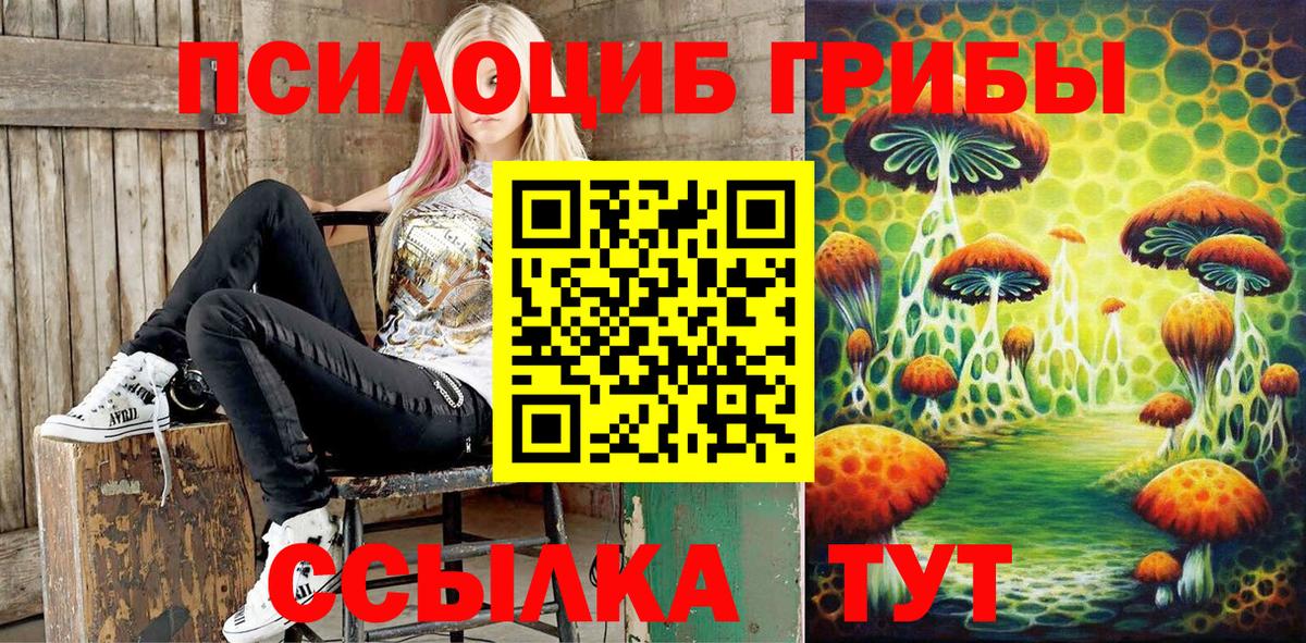 Усть-Джегута  Псилоцибиновые грибы Cubensis  Вход с VPN 